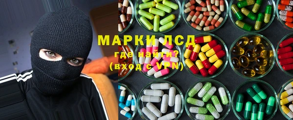 PSILOCYBIN Михайлов